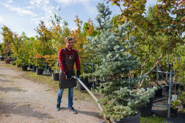 Best Commercial Tree Services  in Lac Du Flambeau, WI